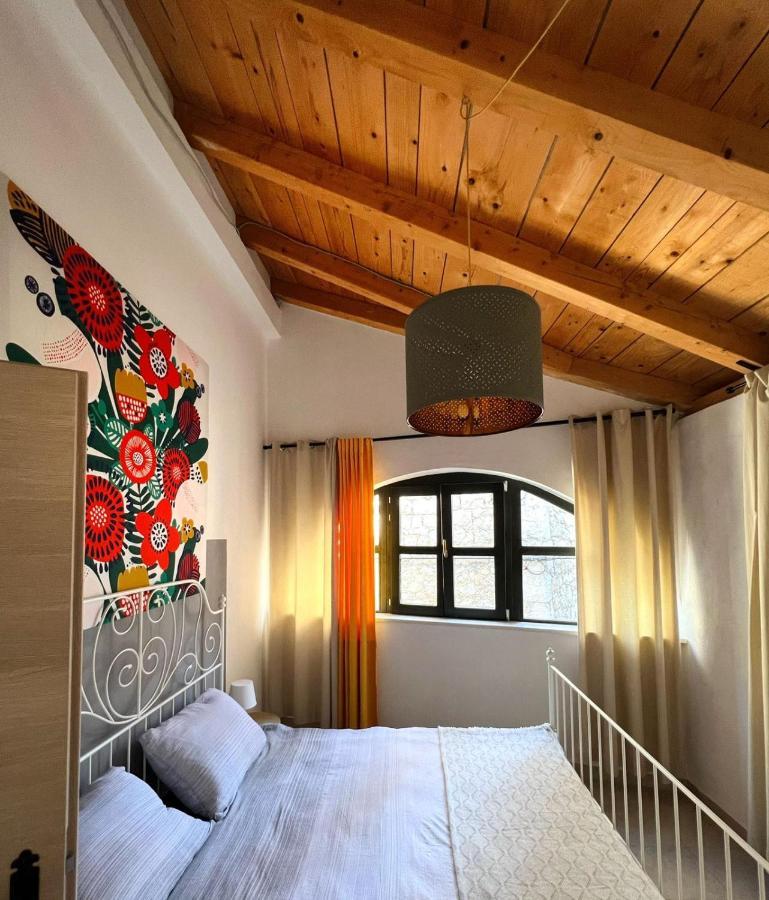 Villa Eximia Novigrad