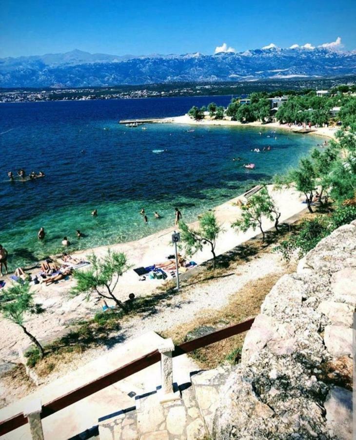 Villa Eximia Novigrad Novigrad (Dalmatia)