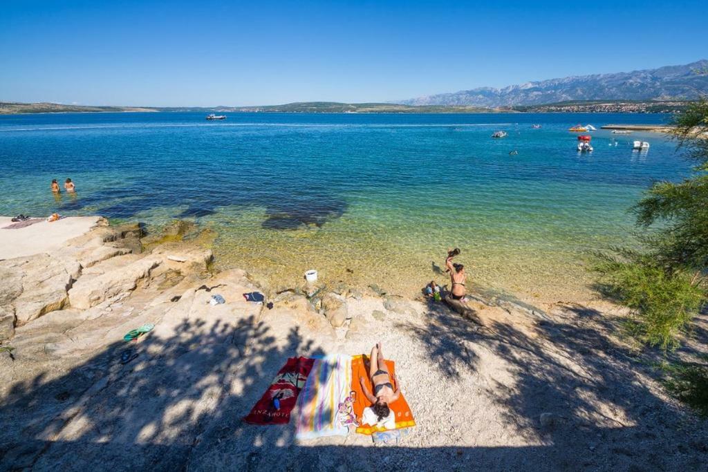 Villa Eximia Novigrad