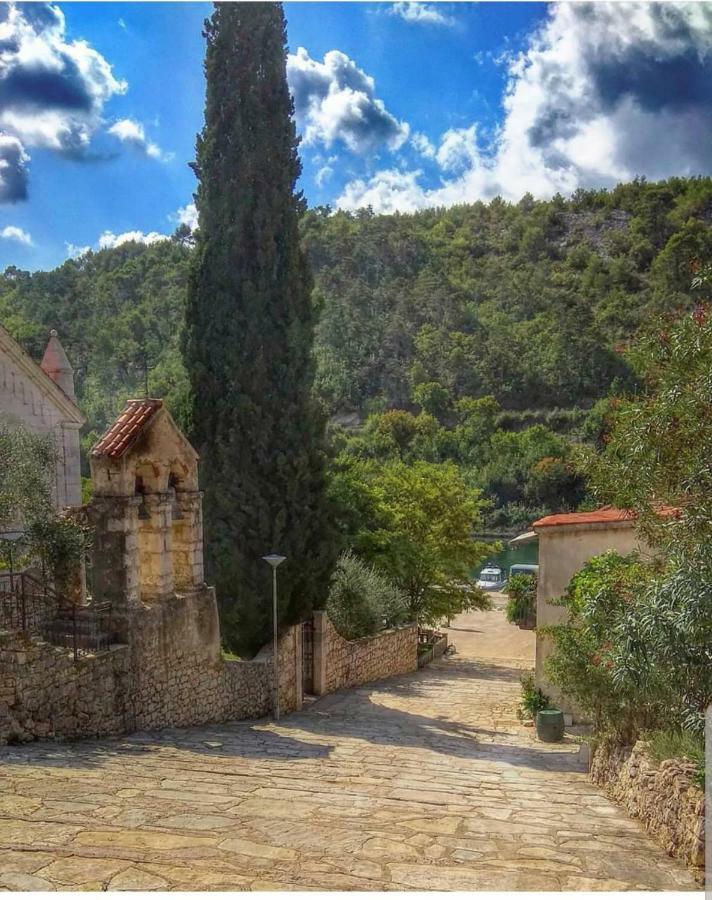 Villa Eximia Novigrad *