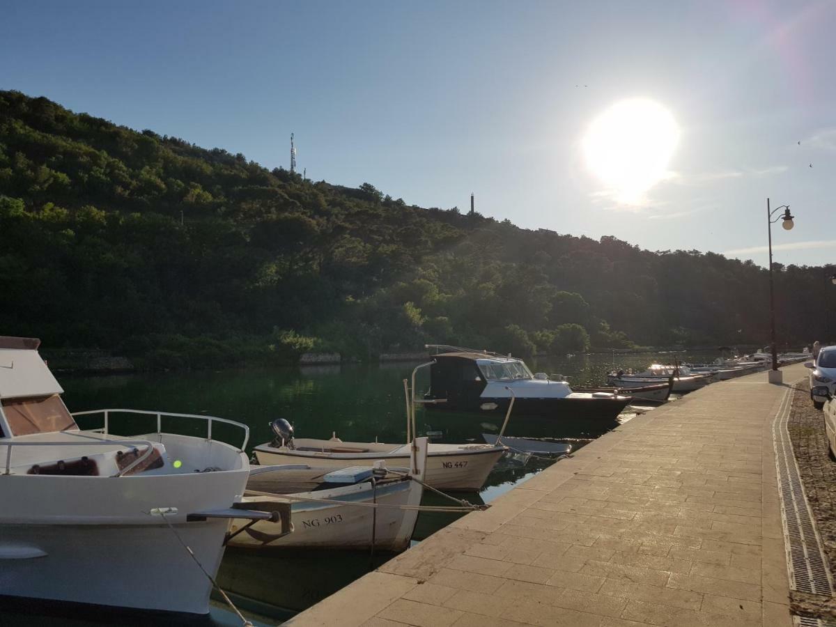 Eximia Novigrad * Novigrad (Dalmatia)