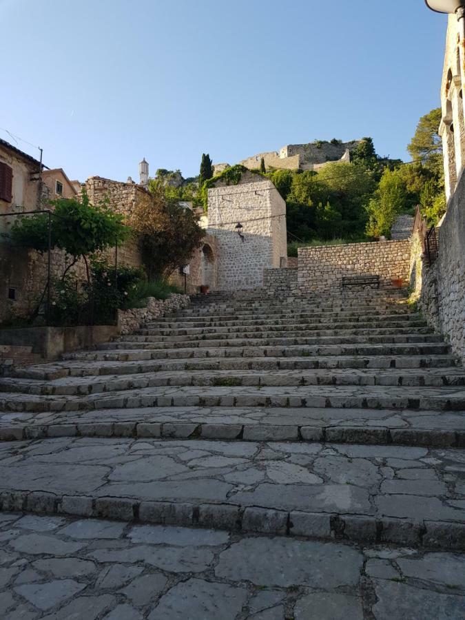 Eximia Novigrad Villa